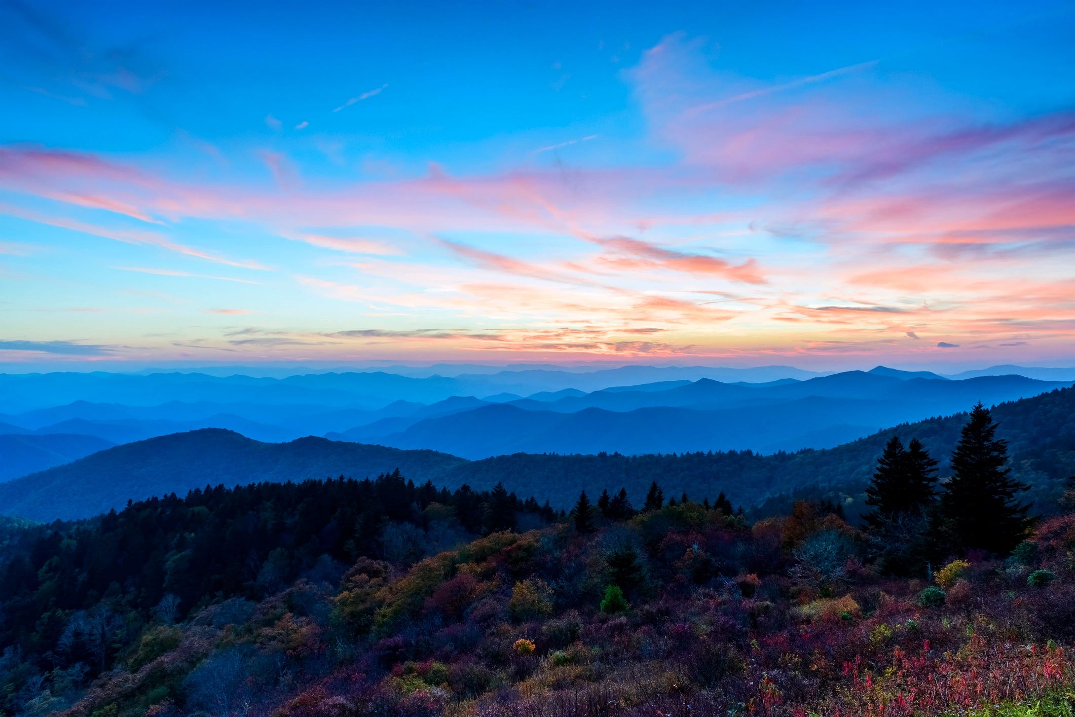 Dark Appalachian forest road at dusk