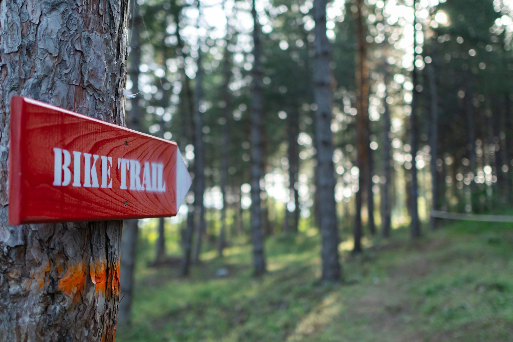 Trail sign attached to a tree in the woods